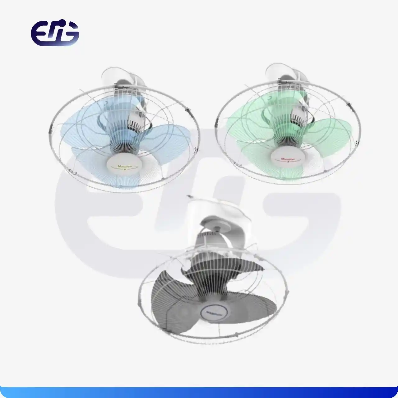 WhatsApp Image 2025-11-20 at 23.50.50